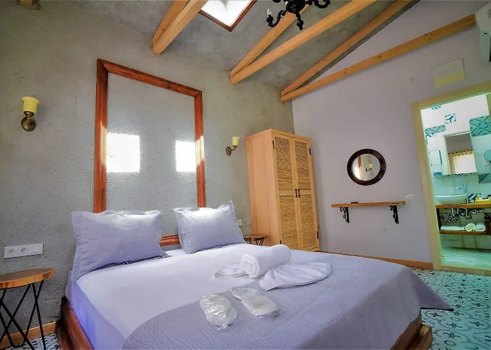 Micel אלאקאטי